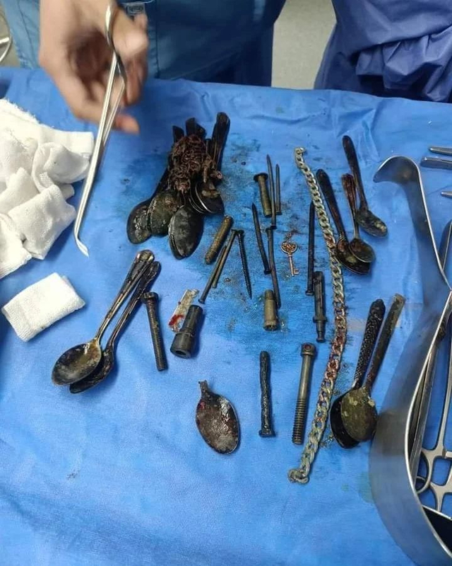 mohesregypt mohesregypt