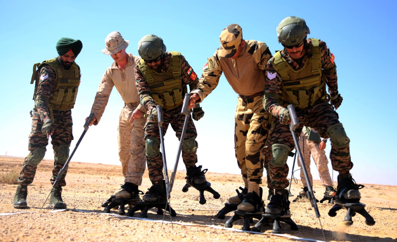 Яркая звезда или Bright Star 2025, Министерство обороны Египта