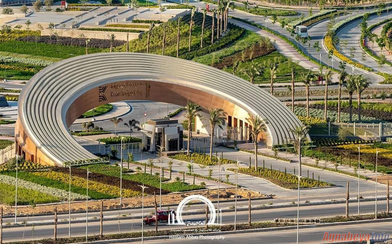 Город знаний в Новой столице Египта Город знаний в Новой столице Египта