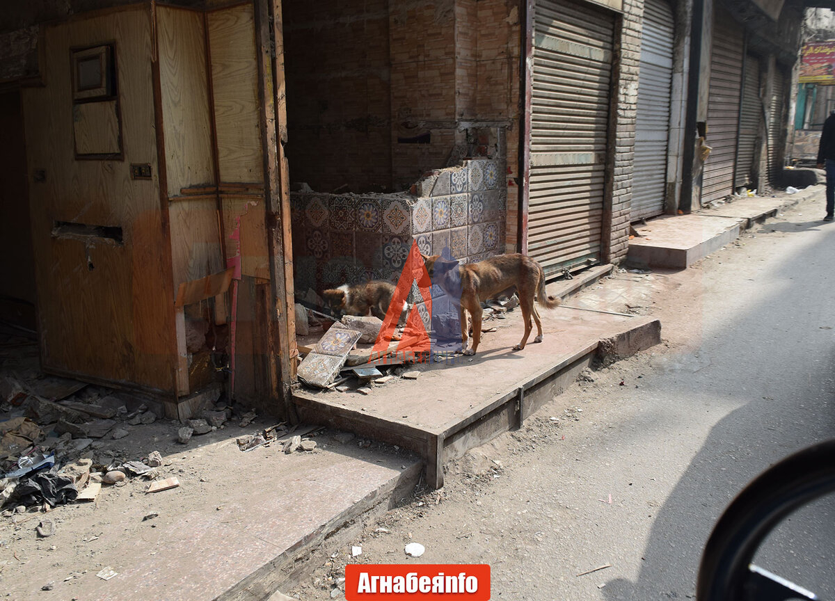 Красная улица Каир, автор Агнабея.info